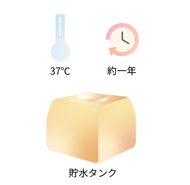 process1